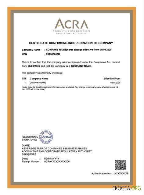 Certificat de Singapour confirmant l'incorporation de la société Modèle Word et PDF